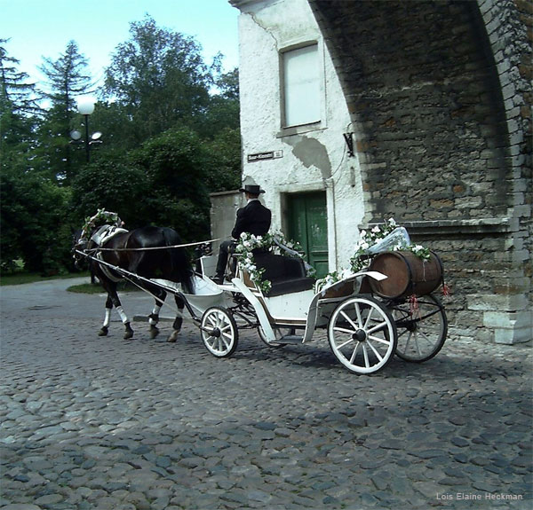 Marriage Carriage by Lois Elaine Heckman